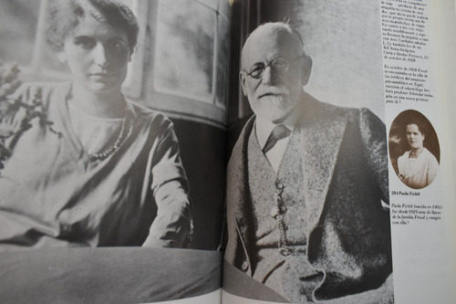 Sigmund Freud: Su Vida En Imágenes Y Textos C209 (Usado)