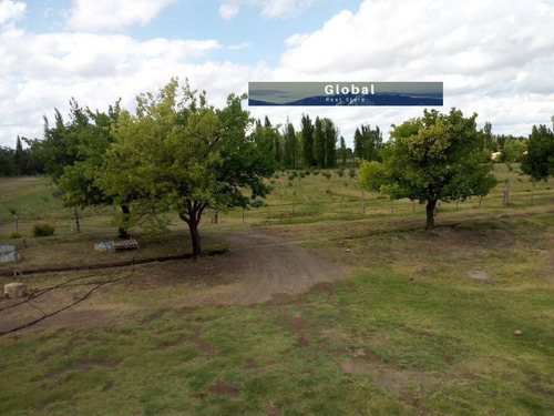 Excelente Finca De 31 Has En San Rafael , Mendoza Zona Vitivinícola Argentina
