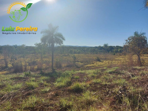 Imagem 1 de 13 de Fazenda À Venda No Vale Do Araguaia - 711,48 Hectares (dupla Aptidão) - 1947