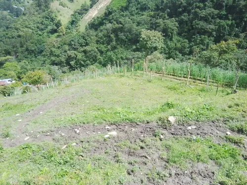 Finca Via Juntas - Ibagué
