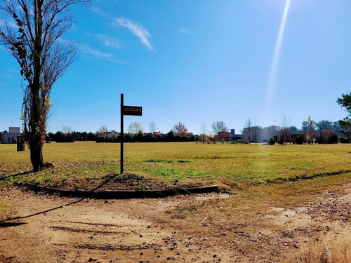 Imagen 2 de 5 de Terreno - Gualeguaychu