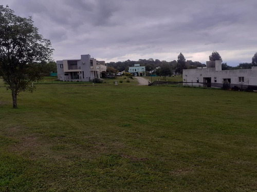 Terreno En Venta En Country Loma Linda