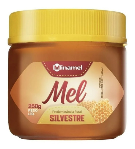 Mel Silvestre Natural Nutritivo Saudável Pote 250g Minamel