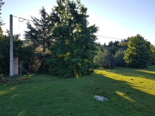 Imagen 3 de 14 de Casa Quinta En Saladillo