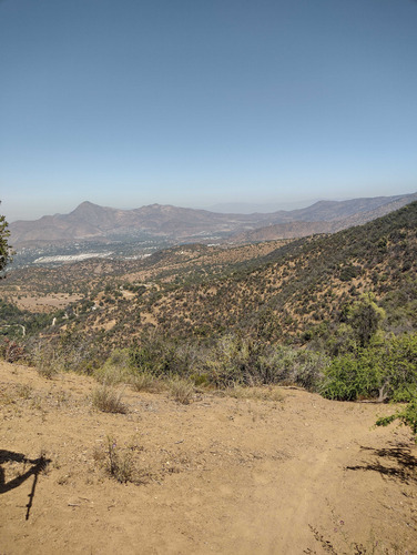 El Arrayan (94131)