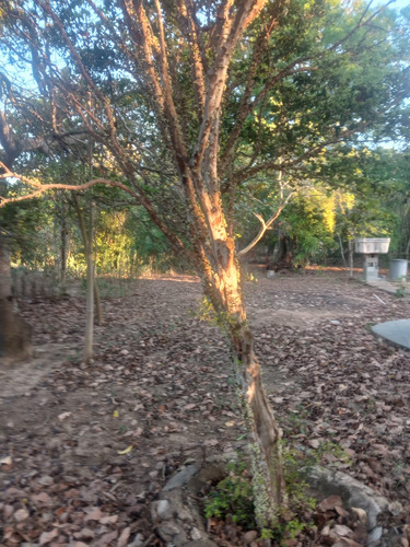 Sitio, Sendo Casa Com 3 Quartos,uma Suite,um Banheiro Social