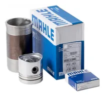 Comprar Conjunto Ford Mwm 229 4 Cilindros Y 6 Cilindros Aspirado