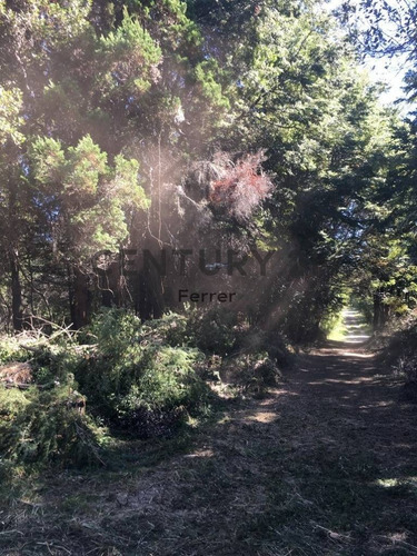 Imagen 15 de 15 de Lote En Venta - Bariloche - Zona Llao Llao - Id:15240
