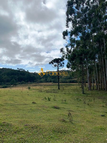 Imagem 8 de 15 de Rural Chacara - 886221-v