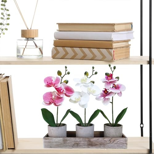 Set 3 Orquídeas Artificiales En Maceta Madera, Falaenopsis D