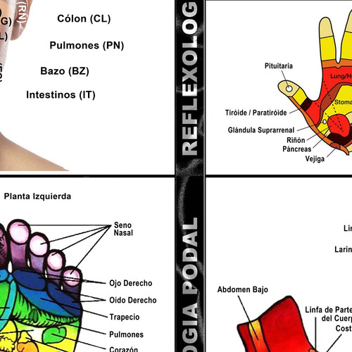 Pósters Reflexología Masajes Digitopuntura - Cast. - 120x85