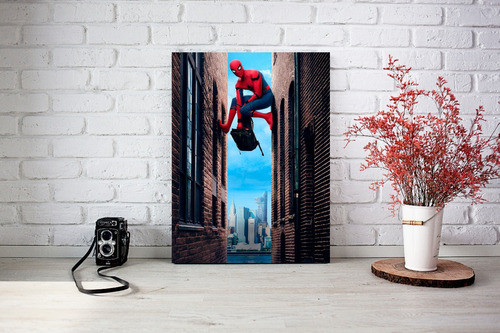 Cuadro Decorativo Spiderman