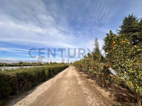 Inversión Agroindustrial Lista Para Operar | 1 Hectárea T...