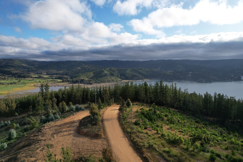 Imagen 11 de 14 de Oferta Hermoso Terreno En Lago Vichuquén - Vista Al Lago