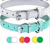 Comprar Collares Para Cachorros Golden