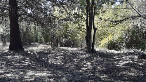 Imagen 9 de 30 de Oportunidad! - Casa De Campo En 1/2 Hectárea - El Durazno - Sierras De Córdoba
