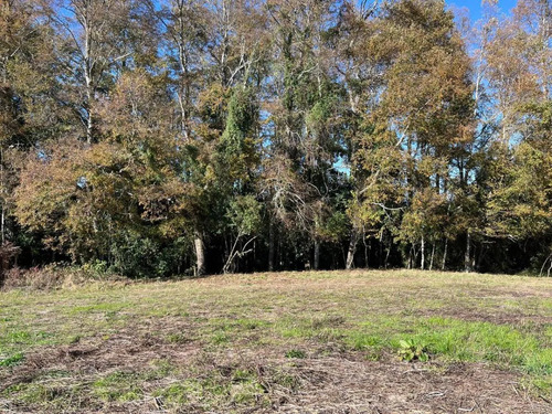 Parcela 5.000m2 | Sector Puquereo | Eje Freire-villarrica
