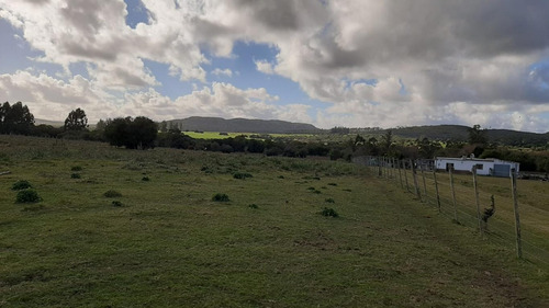 Imagen 4 de 15 de Fracción De Campo Con Costa De Arroyo Y Corriente Eléctrica