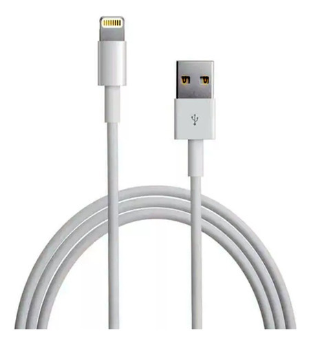 Cable Cargador 1m Para iPad Pro/air/mini iPhone 5/6/7/8/x/11 Color Blanco