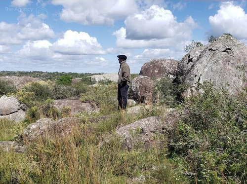 Imagen 5 de 15 de Campo Ganadero En San Jose De 126 Ha, Sierra De Mahoma, Ganadero
