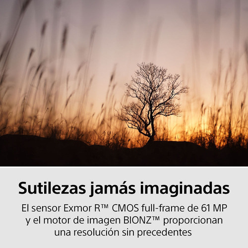 Sony Cámara Profesional Mirrorless Ilce-7rm4a Color Negro