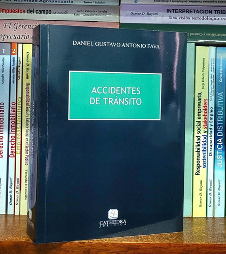 Libro Accidentes De Tránsito - Daniel Gustavo Fava