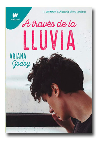 A Través De La Lluvia Ariana Godoy Libro Físico