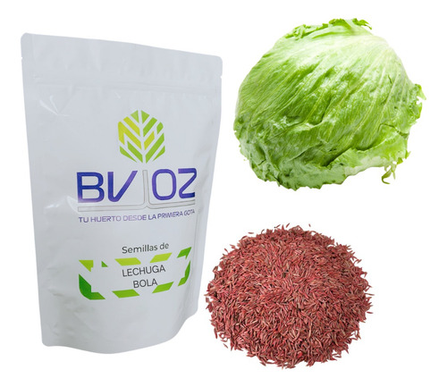 Semillas Lechuga Bola Para Cultivo 2 Kg