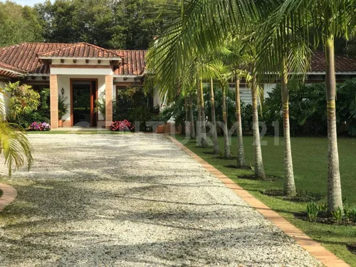 Arriendo Casa Llano Grande Excelente Ubicación