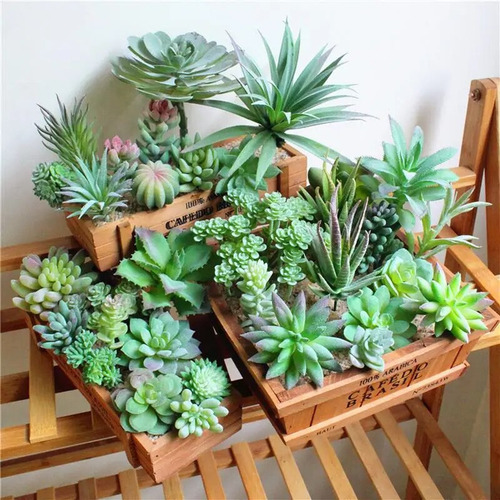 Escritorio E 20 Con Forma De Planta Flocada, Cactus Y Flores