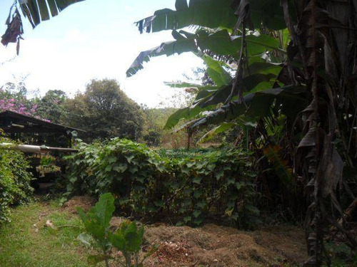 Imagem 27 de 30 de Chácara Com 2 Casas À Venda, 4000 M² Por R$ 550.000 - Zona Rural - Santo Antônio Do Pinhal/sp - Ch0095