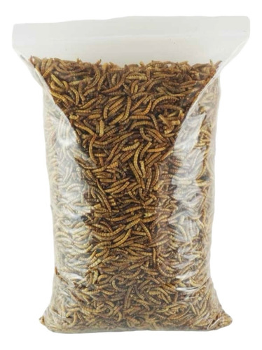 Tenebrio Deshidratado Super Premium 1 Kilo