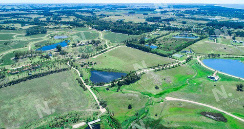 Imagen 13 de 20 de Lotes En Venta En Barrio Privado - Punta Del Este Punta Del Este