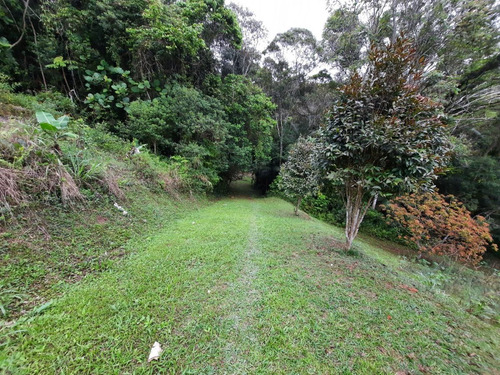 Imagem 27 de 30 de Lindo Sítio Em Juquitiba