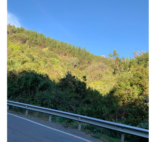Parcela De 6.000m2 Playa La Misión Orilla Camino Valdivia.