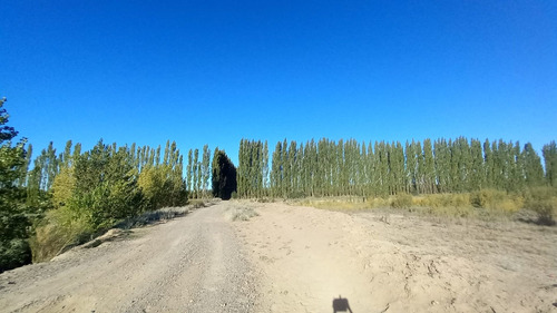 Imagen 30 de 30 de Chacra En Venta Con Casa Y Galpón Cervantes