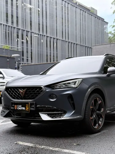 Cupra formentor 2.0 Tsi Mate Dsg