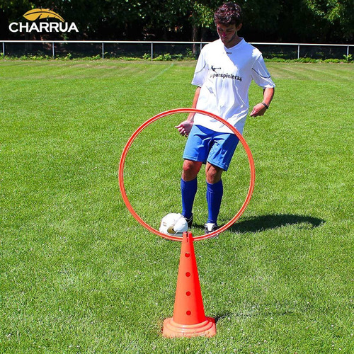 Imagen 5 de 6 de Aro De Entrenamiento Y Coordinación 60cm - Charrúa Store