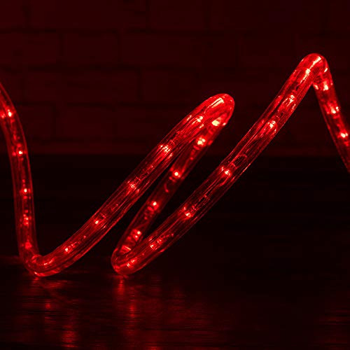 Wyzworks Led Rojo Luces De Cuerda  Flexible 2 Alambres Inter