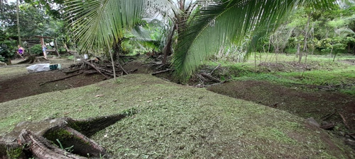 Imagen 9 de 11 de Vendo Finca El Carmen De Siquirres, Pueblo El Civil, Provincia De Limón