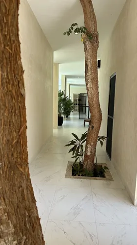 Casa Tipo Hacienda De Un Piso De 4 Recamaras En La Ceiba 2, Dzibilchaltún