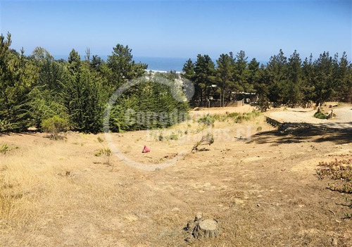 Imagen 1 de 6 de Sitio En Venta En Pichilemu
