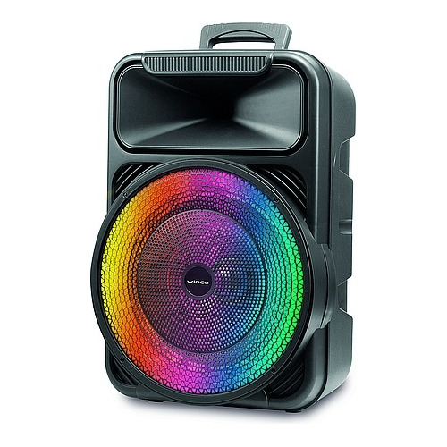 Parlante Portatil 12 4000w Bateria Bluetooth Usb Radio Inalambrico Recargable 12 Y 220v + Microfono + Sonido Luces Led