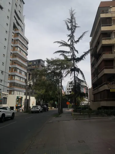 Departamento Isidora Goyenechea / San Sebastián / El Golf