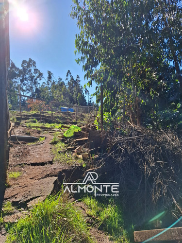 Propiedad 690 M2 Ubicada En Cerro Alto Los Alamos