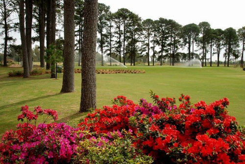 Imagen 4 de 12 de Terreno - Los Pinares C. Club