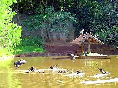 Imagem 14 de 16 de Lote À Venda Em Barão Geraldo - Lo116883