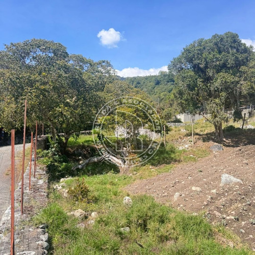 En Venta Terreno En El Playon Alto El Valle Mérida Venezuela