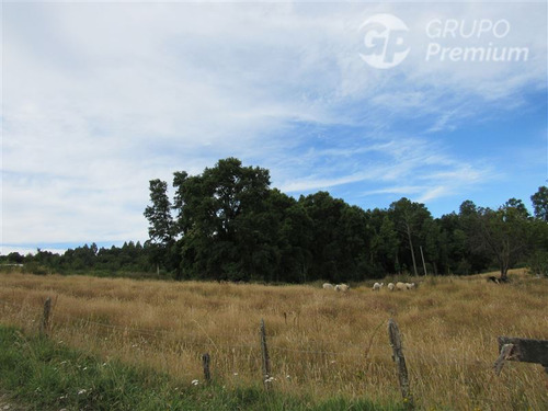 Agrícola En Venta En Paillaco