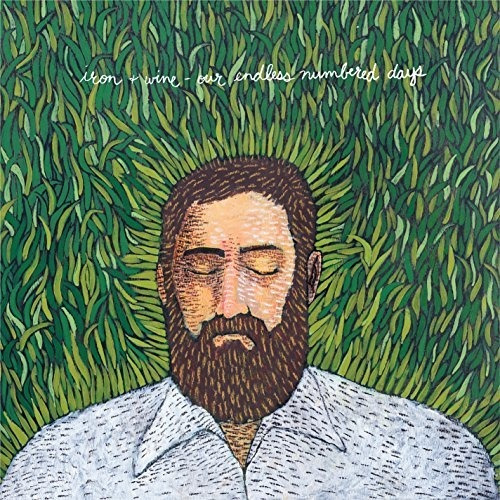 Iron & Wine Our Endless Numbered Days Usa Imp Lp Vinilo X 2